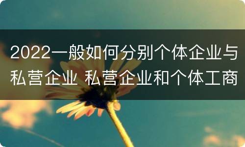 2022一般如何分别个体企业与私营企业 私营企业和个体工商户的区别哪些?