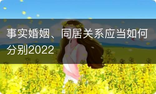 事实婚姻、同居关系应当如何分别2022