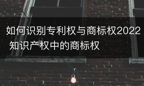 如何识别专利权与商标权2022 知识产权中的商标权