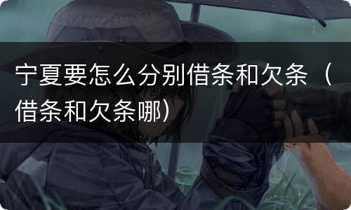 宁夏要怎么分别借条和欠条（借条和欠条哪）