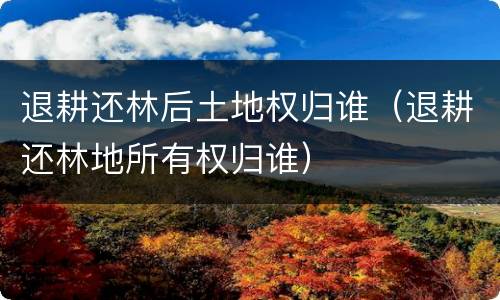 退耕还林后土地权归谁（退耕还林地所有权归谁）