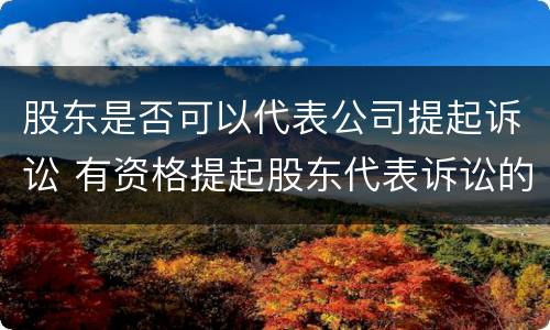 股东是否可以代表公司提起诉讼 有资格提起股东代表诉讼的有