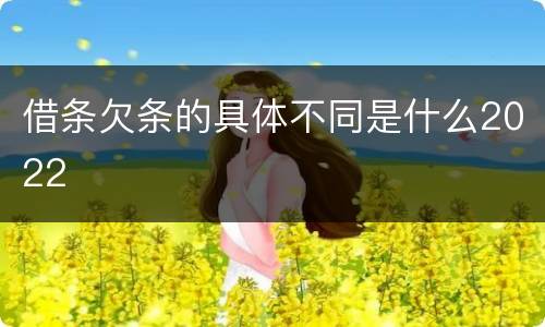 借条欠条的具体不同是什么2022