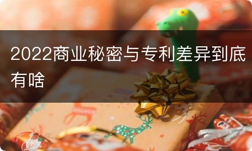 2022商业秘密与专利差异到底有啥