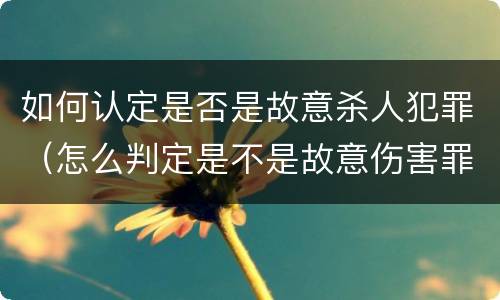 如何认定是否是故意杀人犯罪（怎么判定是不是故意伤害罪）