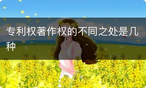 专利权著作权的不同之处是几种
