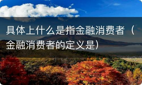 具体上什么是指金融消费者（金融消费者的定义是）