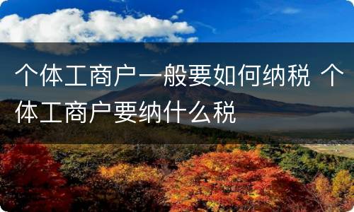 个体工商户一般要如何纳税 个体工商户要纳什么税