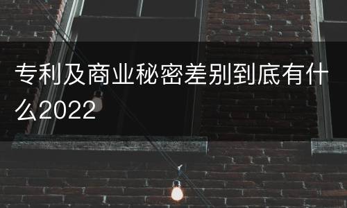 专利及商业秘密差别到底有什么2022