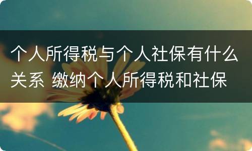 个人所得税与个人社保有什么关系 缴纳个人所得税和社保