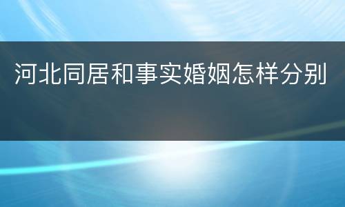 河北同居和事实婚姻怎样分别