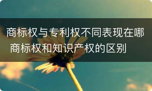 商标权与专利权不同表现在哪 商标权和知识产权的区别