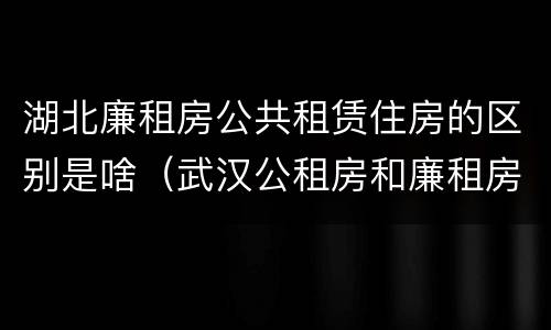 湖北廉租房公共租赁住房的区别是啥（武汉公租房和廉租房）