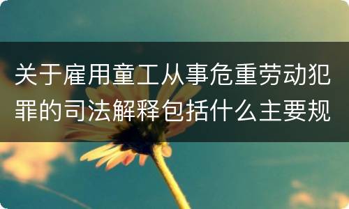 关于雇用童工从事危重劳动犯罪的司法解释包括什么主要规定