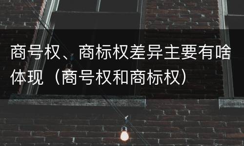 商号权、商标权差异主要有啥体现（商号权和商标权）