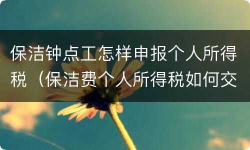 保洁钟点工怎样申报个人所得税（保洁费个人所得税如何交）