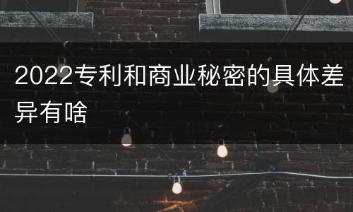 2022专利和商业秘密的具体差异有啥