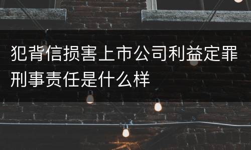 犯背信损害上市公司利益定罪刑事责任是什么样