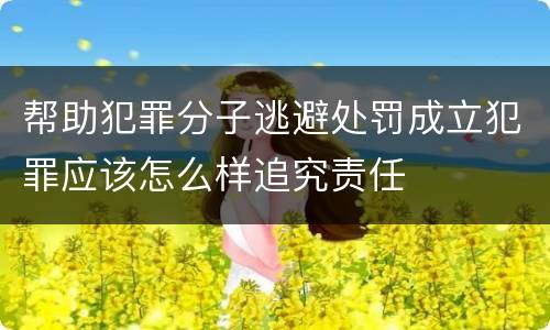 帮助犯罪分子逃避处罚成立犯罪应该怎么样追究责任
