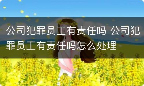 公司犯罪员工有责任吗 公司犯罪员工有责任吗怎么处理