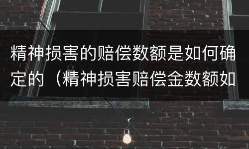 精神损害的赔偿数额是如何确定的（精神损害赔偿金数额如何确定）