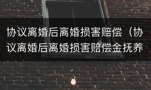 协议离婚后离婚损害赔偿（协议离婚后离婚损害赔偿金抚养费判决书）