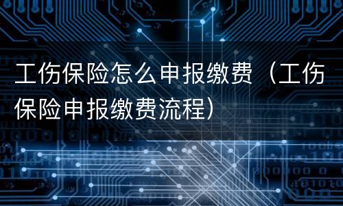 工伤保险怎么申报缴费（工伤保险申报缴费流程）