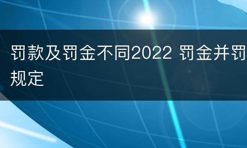 罚款及罚金不同2022 罚金并罚规定
