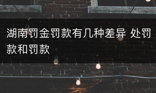 湖南罚金罚款有几种差异 处罚款和罚款