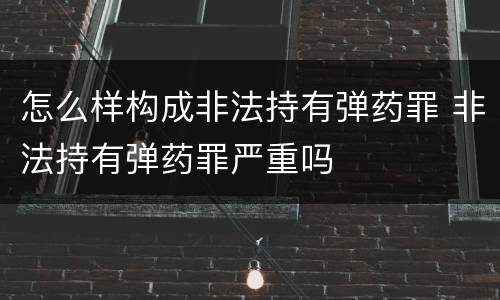 怎么样构成非法持有弹药罪 非法持有弹药罪严重吗