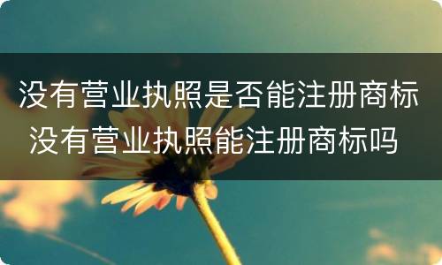 没有营业执照是否能注册商标 没有营业执照能注册商标吗