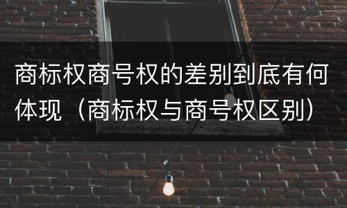 商标权商号权的差别到底有何体现（商标权与商号权区别）