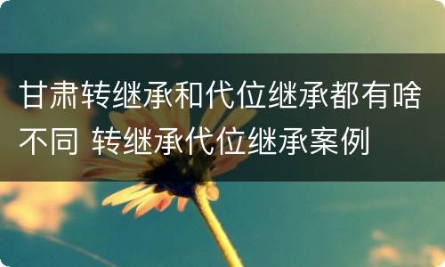 甘肃转继承和代位继承都有啥不同 转继承代位继承案例
