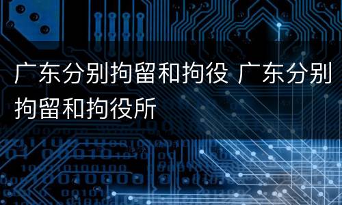 广东分别拘留和拘役 广东分别拘留和拘役所
