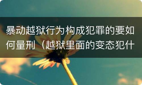 暴动越狱行为构成犯罪的要如何量刑（越狱里面的变态犯什么罪）