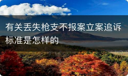有关丢失枪支不报案立案追诉标准是怎样的