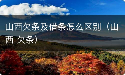 山西欠条及借条怎么区别（山西 欠条）