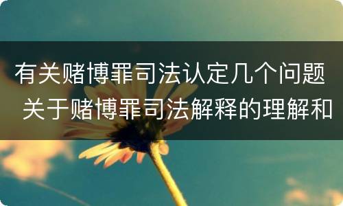 有关赌博罪司法认定几个问题 关于赌博罪司法解释的理解和适用
