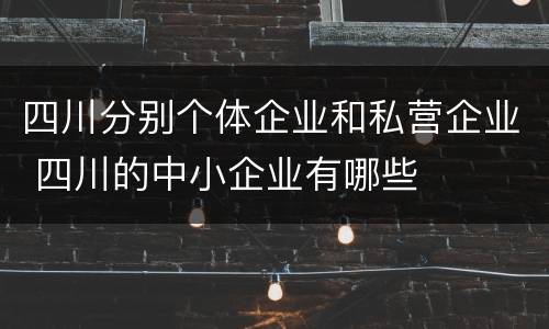 四川分别个体企业和私营企业 四川的中小企业有哪些