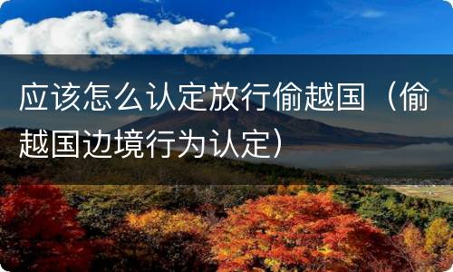 应该怎么认定放行偷越国（偷越国边境行为认定）