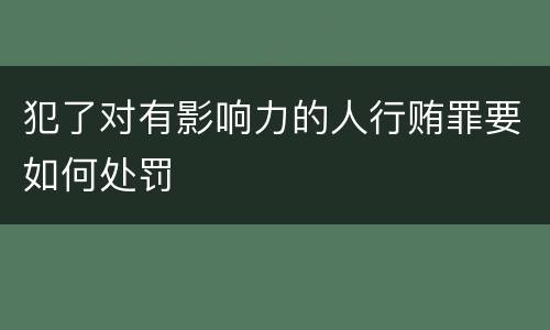 犯了对有影响力的人行贿罪要如何处罚