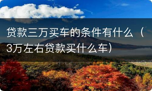 贷款三万买车的条件有什么（3万左右贷款买什么车）