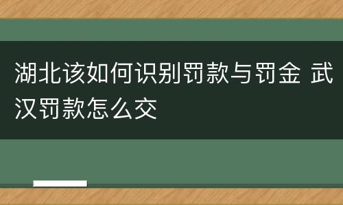 湖北该如何识别罚款与罚金 武汉罚款怎么交