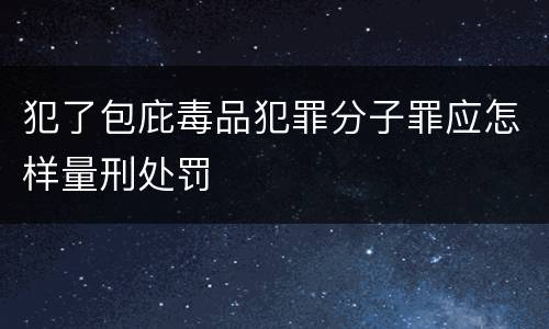 犯了包庇毒品犯罪分子罪应怎样量刑处罚