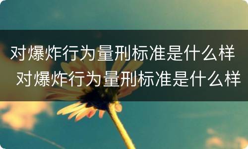 对爆炸行为量刑标准是什么样 对爆炸行为量刑标准是什么样的