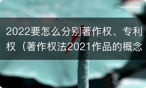 2022要怎么分别著作权、专利权（著作权法2021作品的概念）