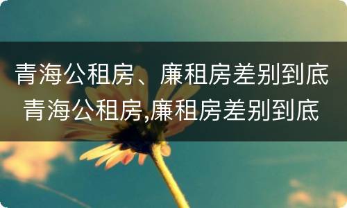 青海公租房、廉租房差别到底 青海公租房,廉租房差别到底大吗