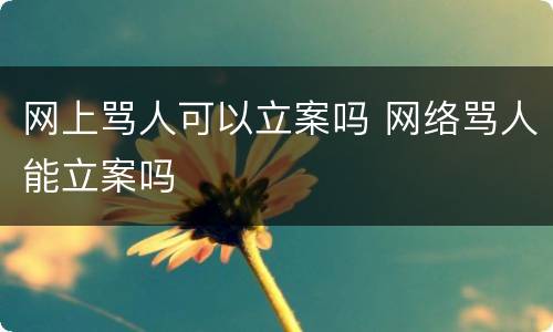 网上骂人可以立案吗 网络骂人能立案吗