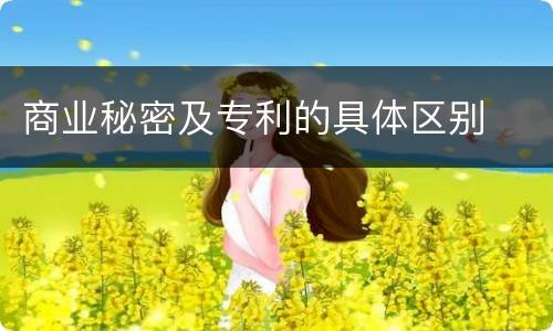 商业秘密及专利的具体区别