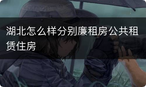 湖北怎么样分别廉租房公共租赁住房
